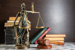 “Un abogado sin libros sería como un trabajador sin herramientas”